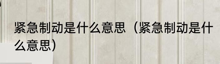 紧急制动是什么意思（紧急制动是什么意思）