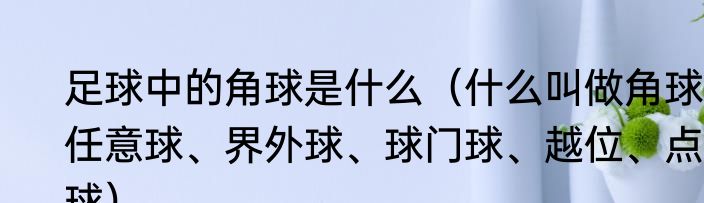 足球中的角球是什么（什么叫做角球、任意球、界外球、球门球、越位、点球）