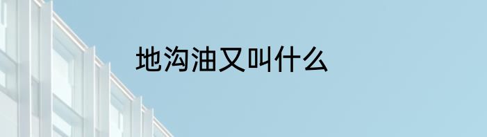 地沟油又叫什么