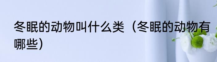 冬眠的动物叫什么类（冬眠的动物有哪些）