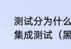 测试分为什么，白盒，黑盒，单元，集成测试（黑盒测试要学多久）