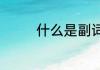 什么是副词（什么是副词）