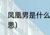 凤凰男是什么意思（凤凰男是什么意思）