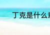 丁克是什么意思（丁克是什么）