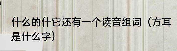 什么的什它还有一个读音组词（方耳是什么字）