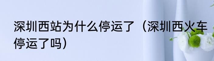 深圳西站为什么停运了（深圳西火车停运了吗）