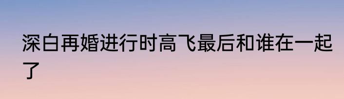 深白再婚进行时高飞最后和谁在一起了