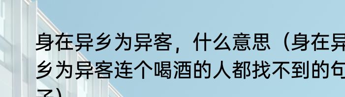 身在异乡为异客，什么意思（身在异乡为异客连个喝酒的人都找不到的句子）