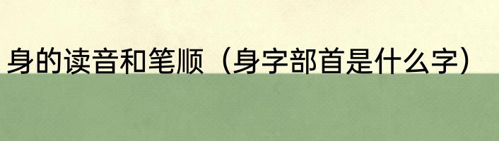 身的读音和笔顺（身字部首是什么字）