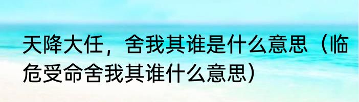 天降大任，舍我其谁是什么意思（临危受命舍我其谁什么意思）