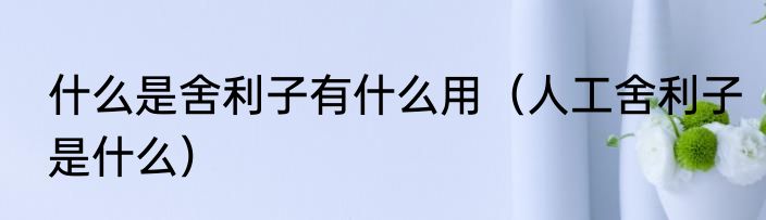 什么是舍利子有什么用（人工舍利子是什么）