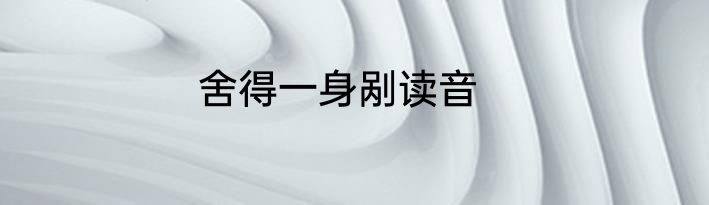 舍得一身剐读音