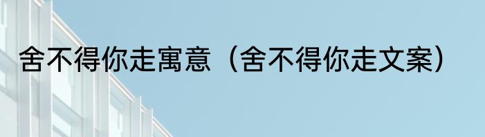 舍不得你走寓意（舍不得你走文案）