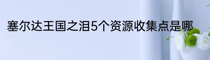 塞尔达王国之泪5个资源收集点是哪