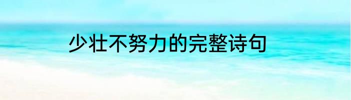 少壮不努力的完整诗句