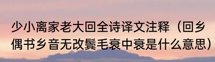少小离家老大回全诗译文注释（回乡偶书乡音无改鬓毛衰中衰是什么意思）