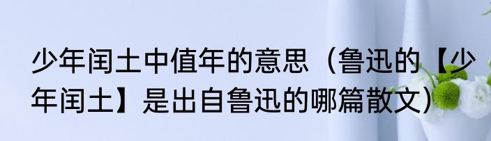 少年闰土中值年的意思（鲁迅的【少年闰土】是出自鲁迅的哪篇散文）