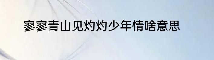 寥寥青山见灼灼少年情啥意思
