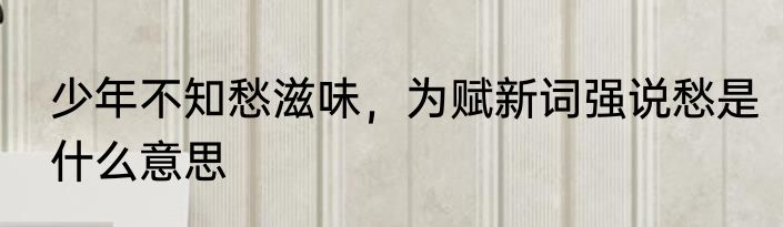 少年不知愁滋味，为赋新词强说愁是什么意思