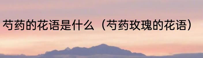 芍药的花语是什么（芍药玫瑰的花语）