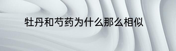 牡丹和芍药为什么那么相似