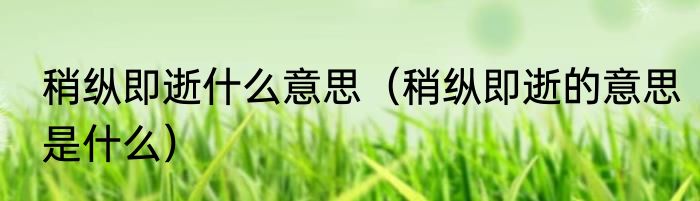 稍纵即逝什么意思（稍纵即逝的意思是什么）