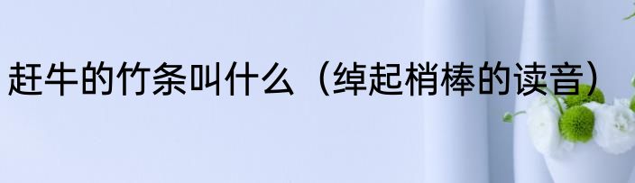 赶牛的竹条叫什么（绰起梢棒的读音）