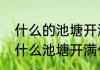 什么的池塘开满什么的荷花二年级（什么池塘开满什么荷花）