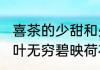 喜茶的少甜和少少甜的区别（接天莲叶无穷碧映荷花别样红意思生字少少）