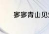寥寥青山见灼灼少年情啥意思