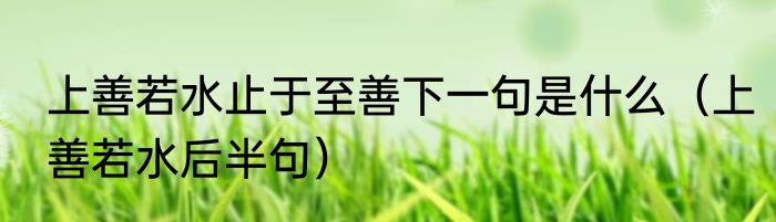 上善若水止于至善下一句是什么（上善若水后半句）