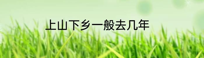 上山下乡一般去几年