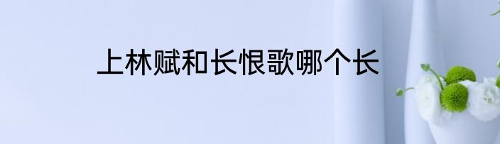 上林赋和长恨歌哪个长