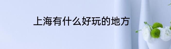 上海有什么好玩的地方