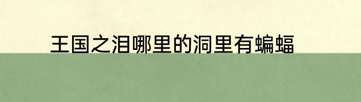 王国之泪哪里的洞里有蝙蝠