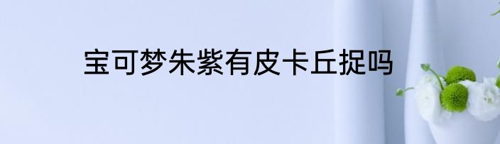 宝可梦朱紫有皮卡丘捉吗