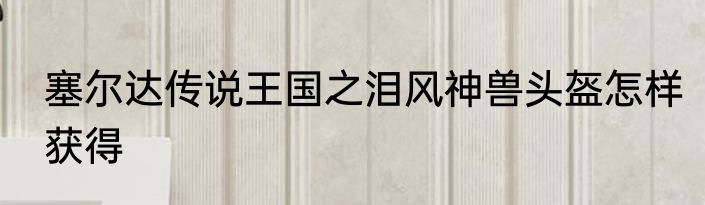 塞尔达传说王国之泪风神兽头盔怎样获得