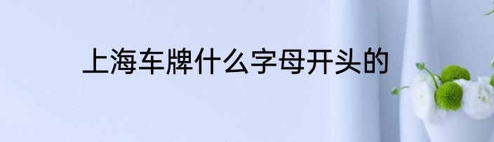 上海车牌什么字母开头的