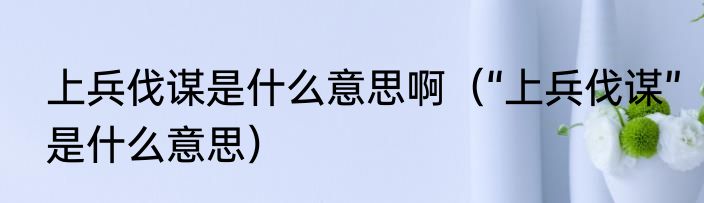上兵伐谋是什么意思啊（“上兵伐谋”是什么意思）