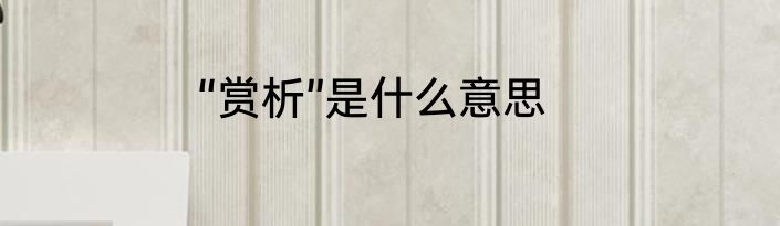 “赏析”是什么意思