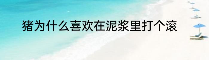 猪为什么喜欢在泥浆里打个滚