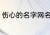 伤心的名字网名（伤感扎心文案名字）