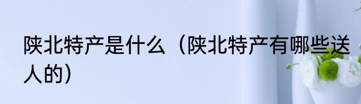 陕北特产是什么（陕北特产有哪些送人的）