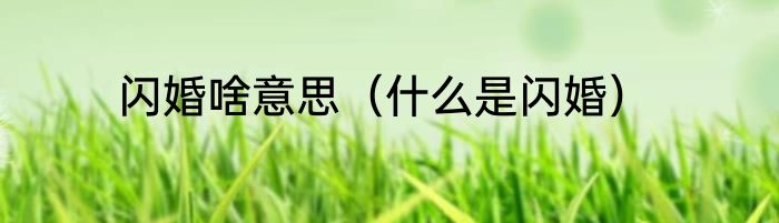 闪婚啥意思（什么是闪婚）