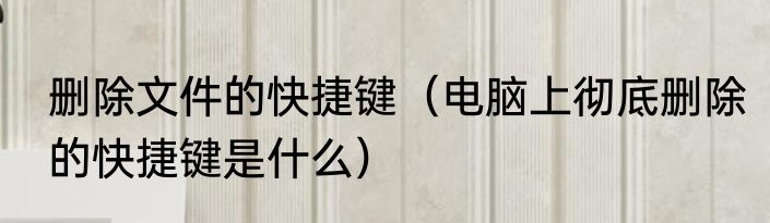 删除文件的快捷键（电脑上彻底删除的快捷键是什么）