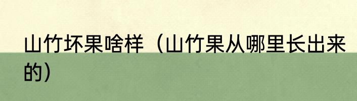 山竹坏果啥样（山竹果从哪里长出来的）