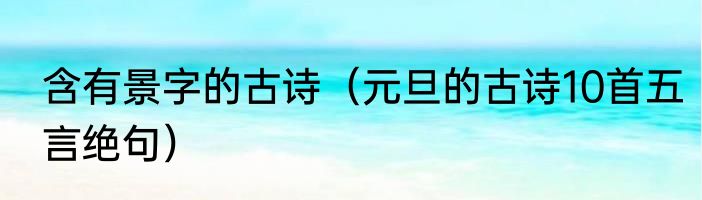含有景字的古诗（元旦的古诗10首五言绝句）