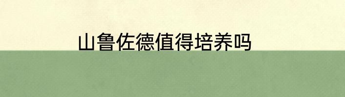 山鲁佐德值得培养吗
