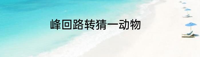 峰回路转猜一动物