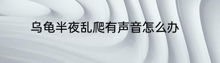 乌龟半夜乱爬有声音怎么办